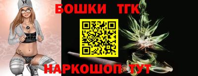 ешки Новодвинск