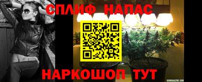 a pvp Новокубанск