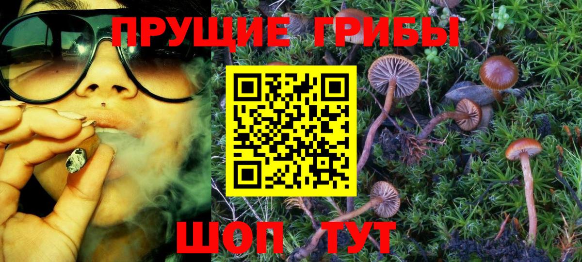 Псилоцибиновые грибы Cubensis  Вход с VPN  Прокопьевск 