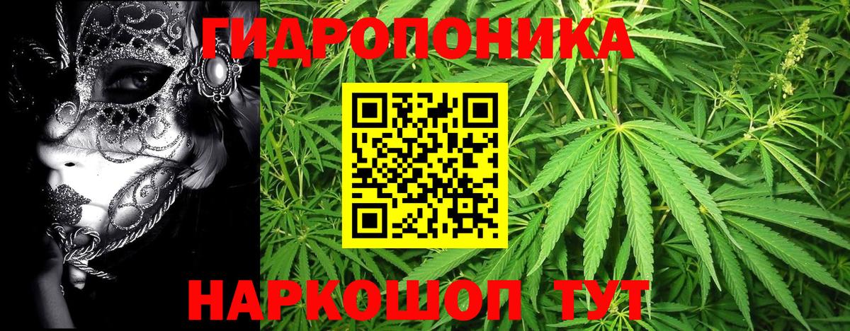 МАРИХУАНА сатива Прокопьевск
